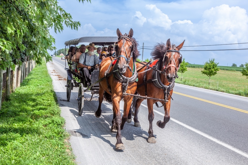 The Best Amish Buggy Rides in Lancaster 4 Amish Buggy Rides, Lancaster PA