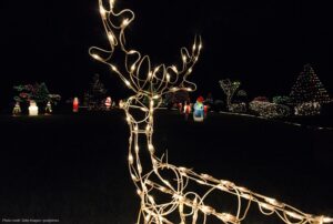 Christmas Lights