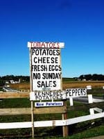Lancaster Market Days 3