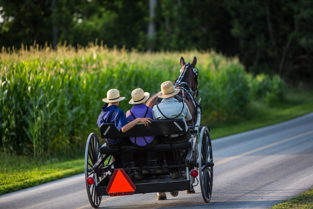 Visit Pennsylvania Amish Country 4 Three peope in a buggy driving through Pennsylvania Amish Country near Lancaster