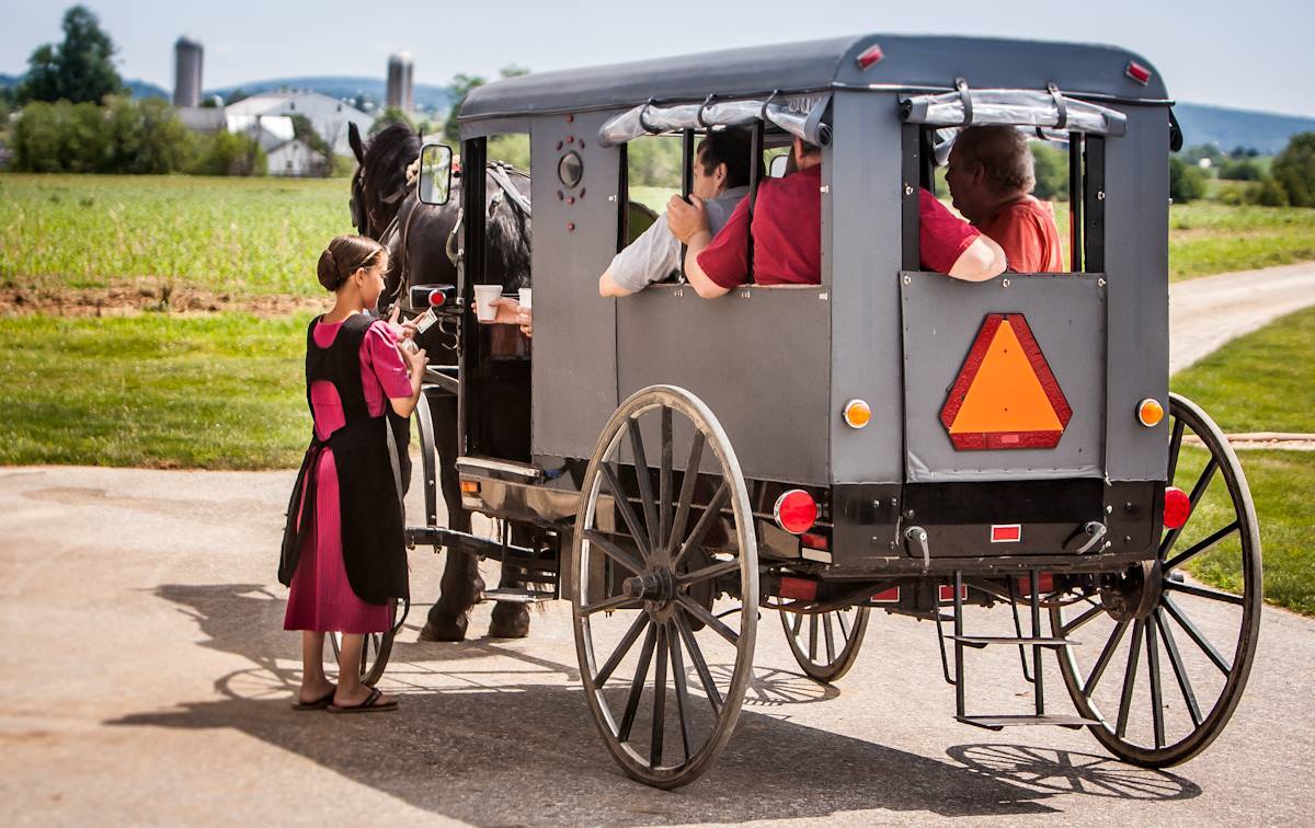 Abe buggy rides