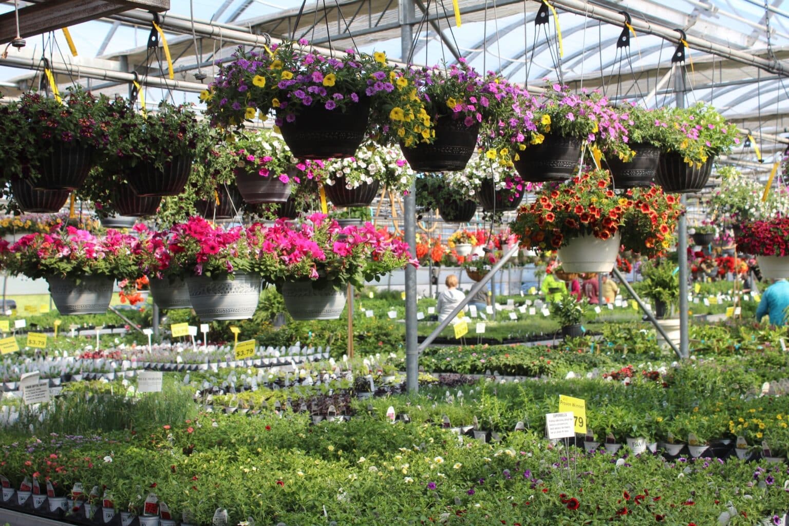 17 Best Lancaster Greenhouse, Plant Nursery and Garden Center