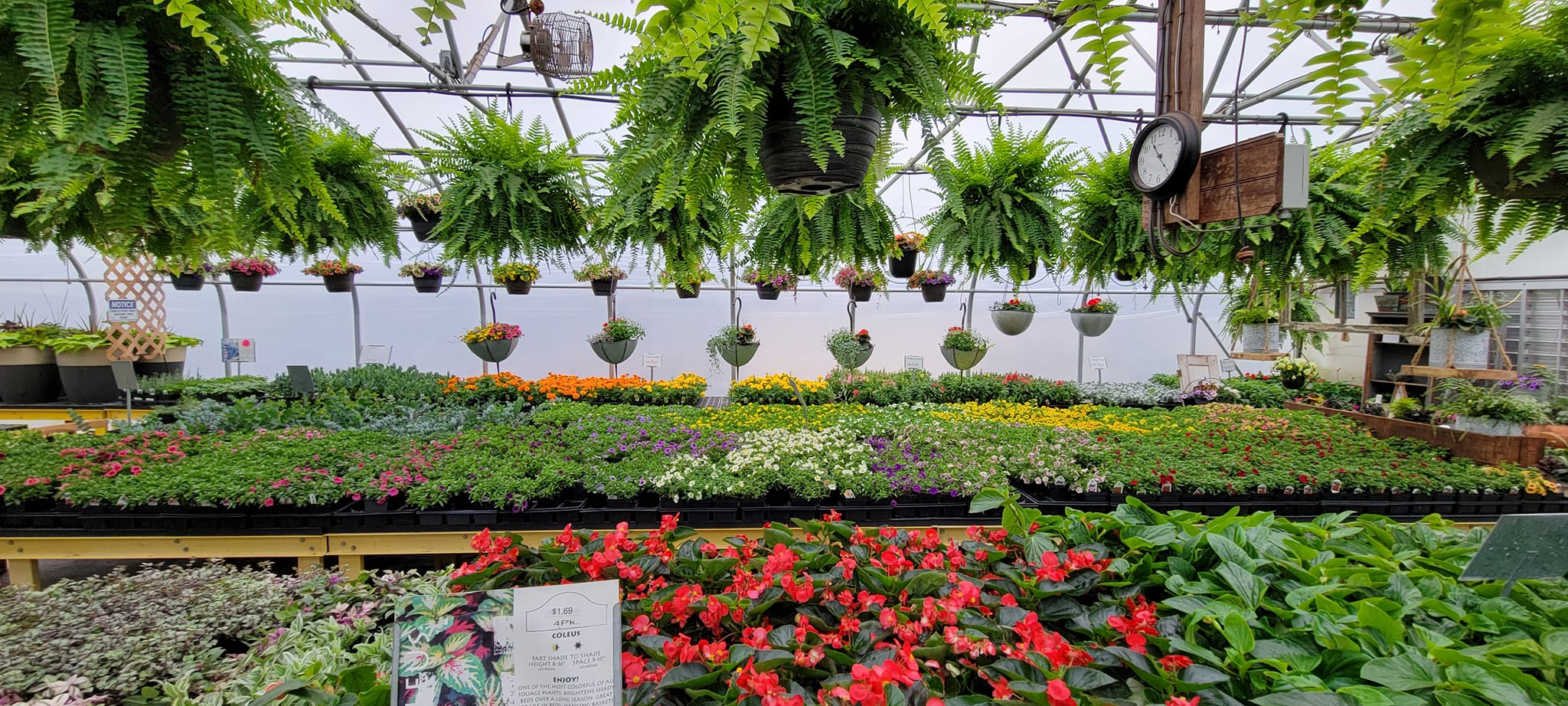 17 Best Lancaster Greenhouse, Plant Nursery and Garden Center