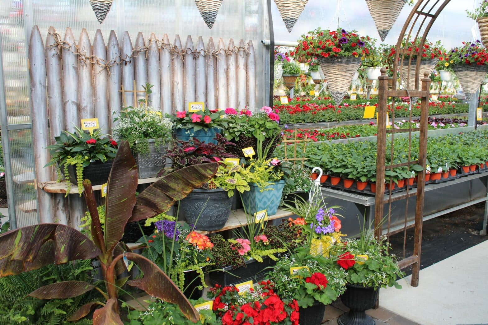 17 Best Lancaster Greenhouse, Plant Nursery and Garden Center