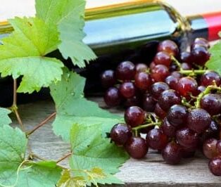 Wine-and-grapes