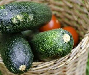 Zucchini Corn Cakes