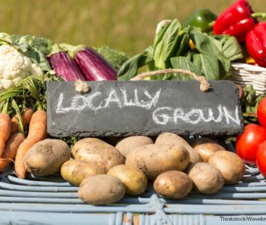 Find out why you must visit the farmers market in Lancaster, PA!