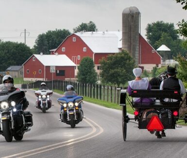 Amish Buggy