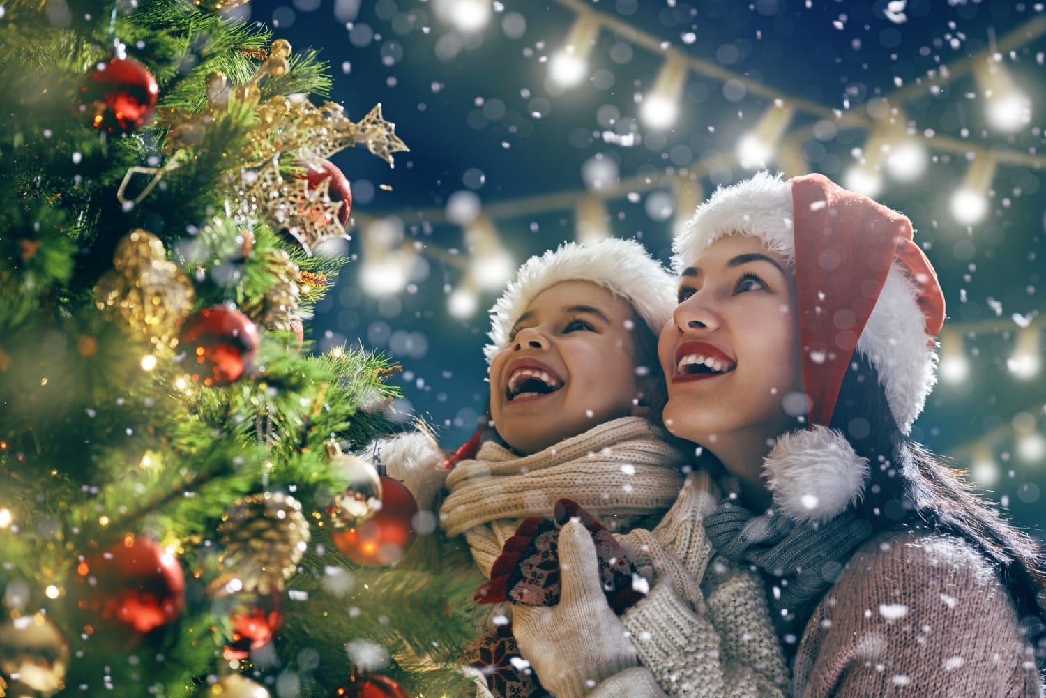 What You Need to Know About Lancaster Tree Lighting Events