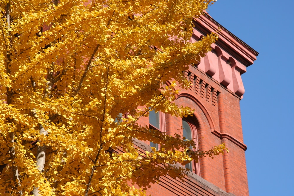 Exterior of a market in Lancaster with fall colors in front - one of the best things to do in Lancaster, PA in the fall